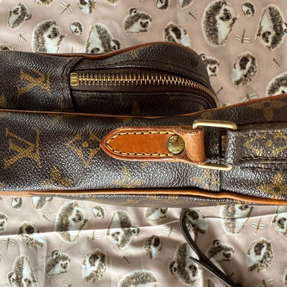 Louis Vuitton Brown Amazone Monogram Crossbody Bag - Picture 3 of 16